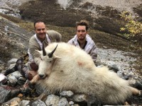 Mountain Goat - Mountain Goat 2016 - 4
